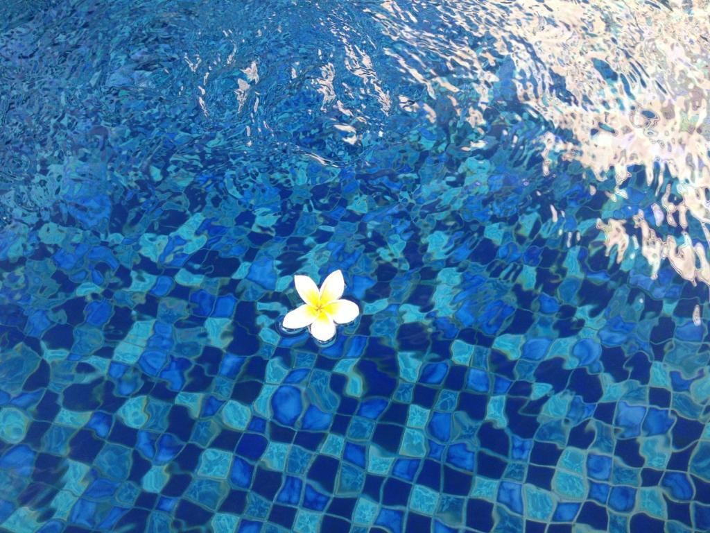 Coco De Heaven House Hotel Jimbaran  Ngoại thất bức ảnh
